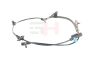 Датчик ABS зад. правий Mitsubishi ASX GA1W (GA0# ) 10-/ Lancer CY1A (CY,CZ# ) 07-/ Lancer Sportback CX1A (CX0# ) 08-/ Outlander CW1W (CW0# ) 06-, фото 1 - интернет-магазин Auto-Mechanic