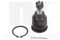 Шаровая опора перед. нижняя Honda Accord IV/V/VI/Rover 600 1.6i-3.0 V6 24V 92-04, фото 1 - интернет-магазин Auto-Mechanic