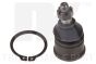 Шаровая опора перед. нижняя L/P Honda Civic V 1.5i/1.6i 97-, фото 1 - интернет-магазин Auto-Mechanic