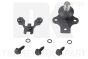 Кульова опора перед. нижня L/P VW Golf/Jetta II 1.0-1.8 83-92, фото 1 - інтерент-магазин Auto-Mechanic