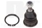 Кульова опора передня нижня Mitsubishi Galant 83-92,Colt/Lancer 84-91, фото 1 - інтерент-магазин Auto-Mechanic