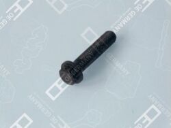 Гвинт шатуна M12x1,25x56 (OM364/OM366)