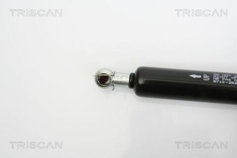 Амортизатор багажника Renault Scenic II (MPV) 06.03- Амортизатор багажника Renault Scenic II (MPV) 06.03-