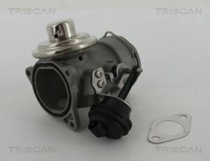 Клапан EGR VAG 1.9Tdi