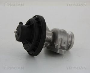 Клапан EGR VW Caddy III, Golf V 2.0SDI BSD, BDK 01.04-