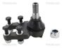 Кульова опора нижня Nissan Terrano II 2.4/2.7D/3.0D 02.93-09.07, фото 1 - интернет-магазин Auto-Mechanic