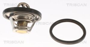 Термостат Ford Fiesta V /Focus/Fusion 1.4-1.6 -09.2003