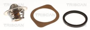 Термостат Nissan Juke/Micra/Note/Tilda Renault Laguna III/Megane III 07-
