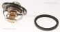 Термостат Opel Astra G 2.2 16V 00-05, фото 1 - інтерент-магазин Auto-Mechanic