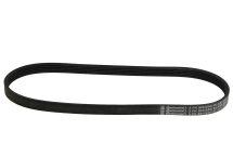 Ремінь генератора Ford Focus 1.6i