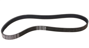 Ремінь генератора Ford Fiesta/Focus 1.4/1.6i 16V 01-12 (6PK1019 ELAST+5PK690 ELAST)