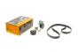Комплект ременя генератора Citroen Berlingo/Jumpy/Fiat Scudo/Peugeot Partner/306/Expert 1.9D 98-15, фото 2 - интернет-магазин Auto-Mechanic