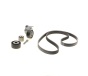 Комплект ременя генератора Citroen Berlingo/Jumpy/Fiat Scudo/Peugeot Partner/306/Expert 1.9D 98-15, фото 1 - интернет-магазин Auto-Mechanic
