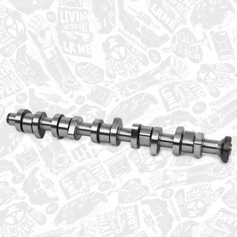 Розподільний вал (Комплект )