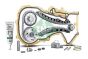 Комплект ланцюга ГРМ VW Golf V 1.4TSI (90/103/125kw) 05-09 (z=130/18-23/36/36) BLG/BMY/CAXA, фото 1 - інтерент-магазин Auto-Mechanic