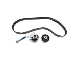 Комплект ГРМ Citroen C5/C6/C8//Peugeot 407 2.2HDI 06-/Ford Galaxy/Mondeo 2.2TDCi 08-15 (25.4x118z)