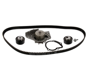 Комплект ГРМ + помпа Citroen Berlingo/Jumpy/Xsara/Peugeot 206/Expert/Partner 2.0HDI 98-11 (25x141z)