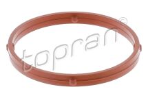 Прокладка впускного колектора