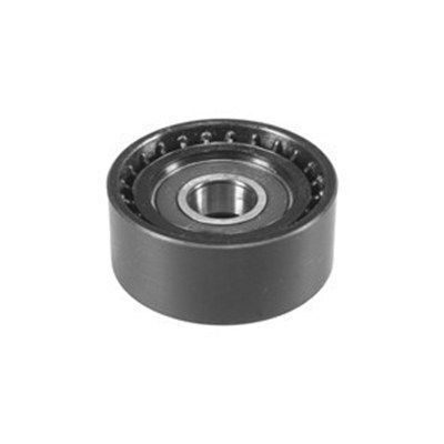 Ролик генератора Mitsubishi Carisma/Space 1.9DI-D 00-06 (паразитний) (60х25,5) (MPQ0014)