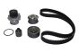 Комплект ГРМ Audi A3/A4/A6/Skoda Octavia/VW Golf V/Passat/Touran 2.0TDI 03- (30x141z), фото 1 - интернет-магазин Auto-Mechanic