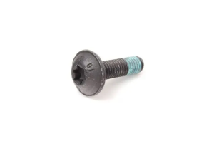 Гвинт фланця клапана EGR M6x22 VW, Audi, Škoda, SEAT 1.9 TDI, 2.0 TDI
