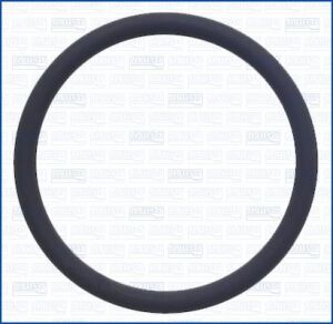 Прокладка, термостат