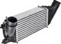 Інтеркулер Citroen C4 I, Grand Picasso, Peugeot 307/308 2.0 HDI 2003–, фото 1 - інтерент-магазин Auto-Mechanic