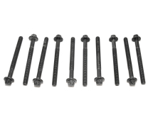 Болти головки (к-кт 10шт.) Renault Trafic 2.0-2.5dCi /Master 2.5dCi