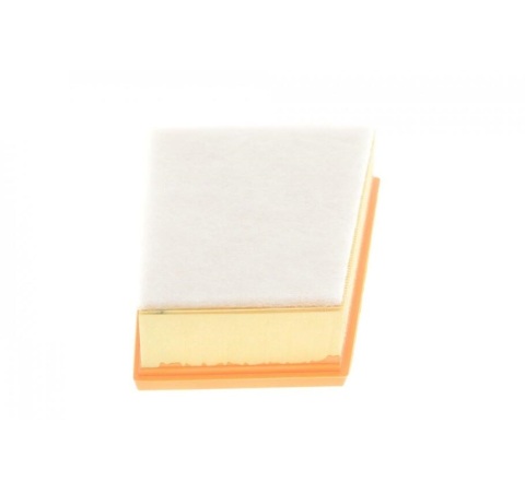 Фільтр повітряний (з поролоном) Renault Megane III 08-/Scenic III 09-/Fluence 10-