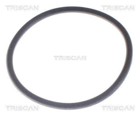 Термостат 80C Bmw/Ford Galaxy/VW Bora,Golf IV,Passat,T IV 2.3-2.8 V6 97/08-