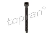 Болт крiплення форсунки VW Caddy/T5 1.9 TDI 03-