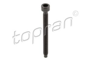 Болт крiплення форсунки VW Caddy/T5 1.9 TDI 03-