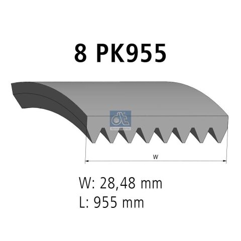 Дорожный ремень 8PK955