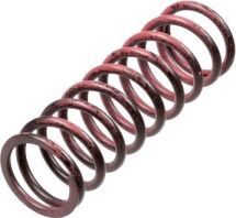 Комплект пружин зчеплення BMW F 650/700/800 2004–2018