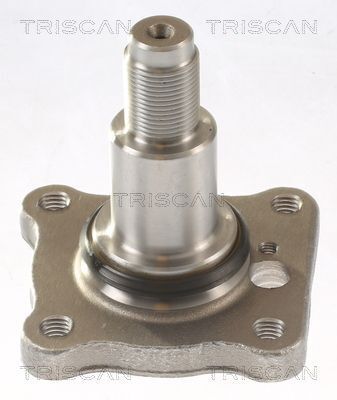 Маточина колеса задня FIESTA V 01-, FOCUS I 99-, FUSION 02- TRISCAN FORD Маточина колеса задня FIESTA V 01-, FOCUS I 99-, FUSION 02- TRISCAN FORD