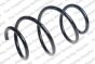 Пружина, фото 1 - интернет-магазин Auto-Mechanic