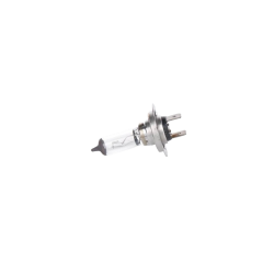 Лампа галогенная H7 12V 55W PX26d ECO Plus 100 WS Лампа галогенная H7 12V 55W PX26d ECO Plus 100 WS