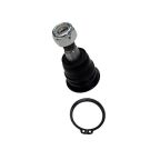 Опора шаровая (передняя/снизу) Nissan Almera 01-07 (CBN-65)