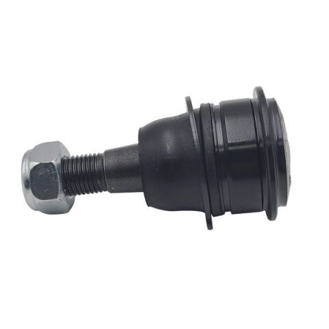 Опора шаровая (передняя/снизу) Nissan Primera 90-01/Sunny 86-90 (CBN-30) Опора шаровая (передняя/снизу) Nissan Primera 90-01/Sunny 86-90 (CBN-30)
