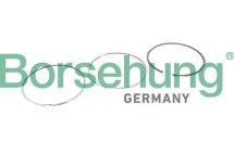 Кільця поршневі (1 комплект) Кільця поршневі (1 комплект)