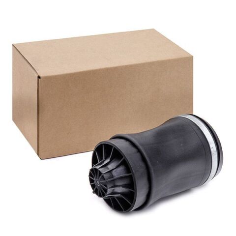 Пневматическая рессора, ходовая часть