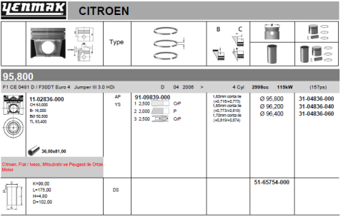 Поршень з кільцями та пальцем (розмір відп. 96,20/+0.40) CITROEN JUMPER 3.0HDI (4цл.) (F1 CE 0481/4P10-T2, 4P10-T3, 4P10-T6)
