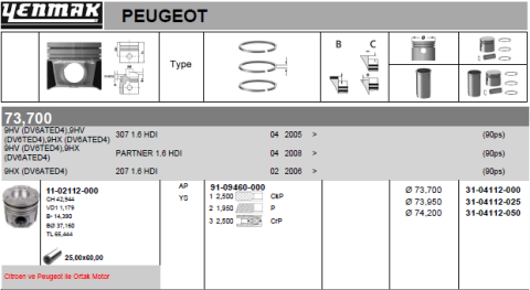 Поршень з кільцями та пальцем (розмір відп. 73.709/STD)