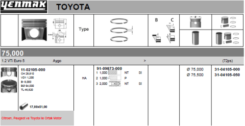 Поршень с кольцами и пальцем (размер отв. 75,00/STD) CITROEN C-Elysee 1,2VTi