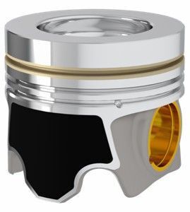 Поршень з кільцями та пальцем (розмір відп. 81/STD) VW T6 (CXEC/CXEB) Поршень з кільцями та пальцем (розмір відп. 81/STD) VW T6 (CXEC/CXEB)