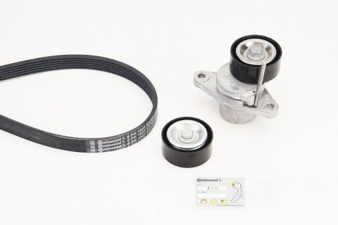 Роликовий модуль натягувача ременя (ролик, ремінь) Роликовий модуль натягувача ременя (ролик, ремінь)