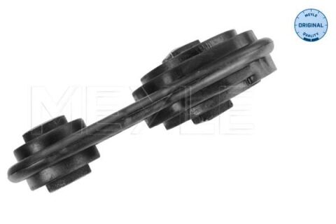 Подушка двигуна (нижня) Renault Megane II/Scenic II 1.9dCi 02- (кісточка) Подушка двигуна (нижня) Renault Megane II/Scenic II 1.9dCi 02- (кісточка)