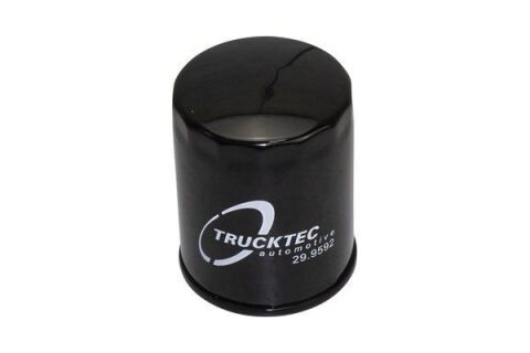 Оливний фільтр