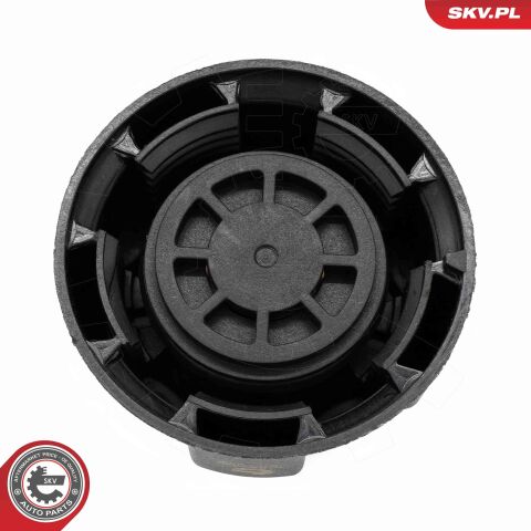 Запірна кришка, бак охолоджувальної рідини Запірна кришка, бак охолоджувальної рідини