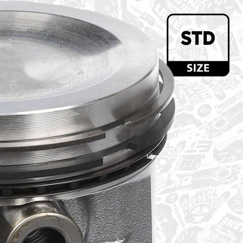 Поршень в комплекті на 1 циліндр, STD
